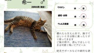 希一♂