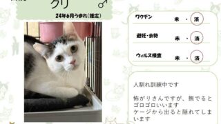 クリ♂